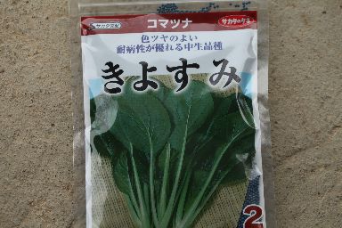 種の在庫確認