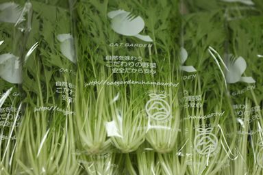 新春初売り