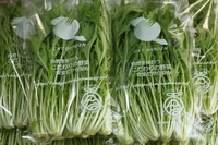 新春初売り