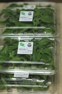 新春初売り