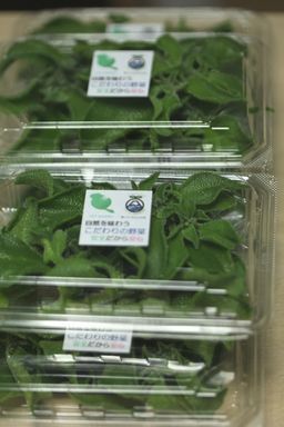 新春初売り