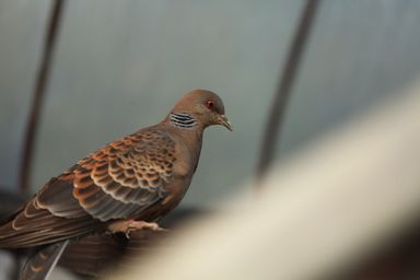 もう入っちゃダメだよ