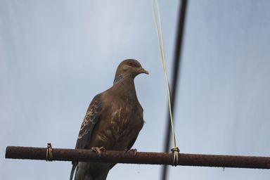 もう入っちゃダメだよ