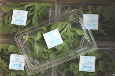 少量を市場出荷