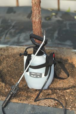 殺虫剤＆殺菌剤を散布