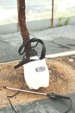 殺虫剤と殺菌剤を散布