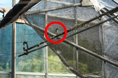 こんな時には慌てずに