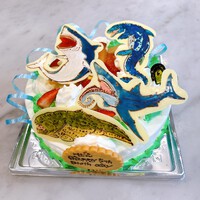 海のいきもののケーキ 2022/07/13 22:42:08