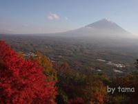 ここもこんな素晴らしかったとは～！！今見頃な紅葉台展望♪　富士山日和第２弾♪