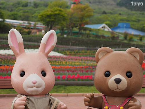 さみしい天空のチューリップ祭り　　ぐりんぱ　シルバニアビレッジ
