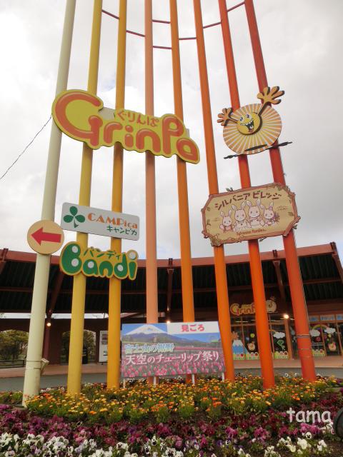 さみしい天空のチューリップ祭り　　ぐりんぱ　シルバニアビレッジ