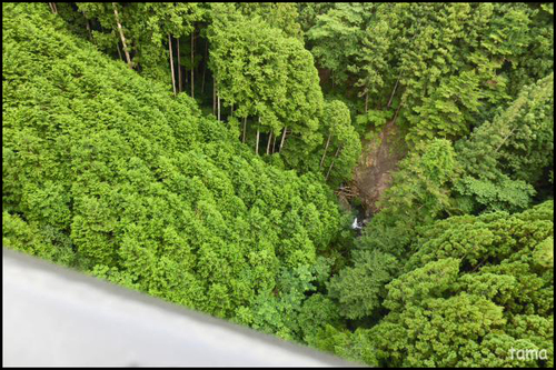 ワインディングロード　国道362号の手前　川根　馬路大橋