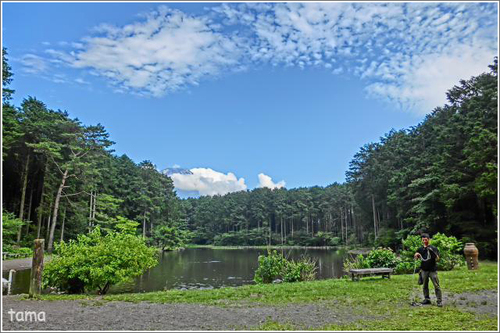 年中無休　花と鳥の別天地　富士花鳥園