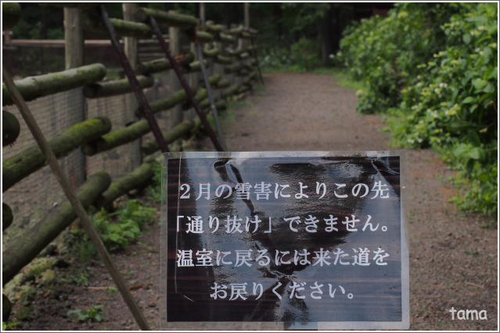 年中無休　花と鳥の別天地　富士花鳥園