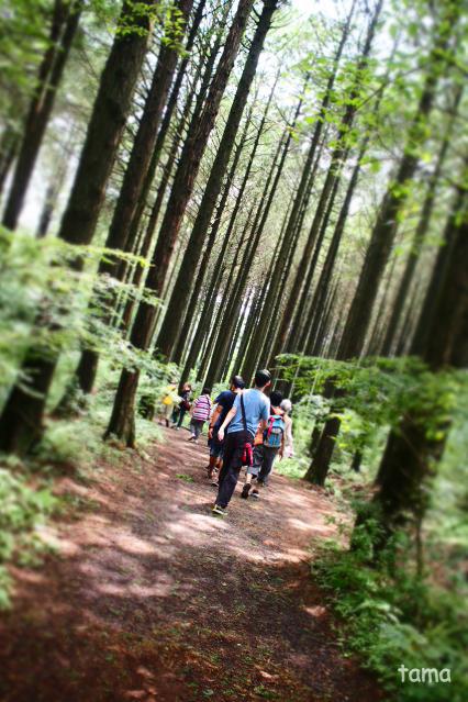 年中無休　花と鳥の別天地　富士花鳥園
