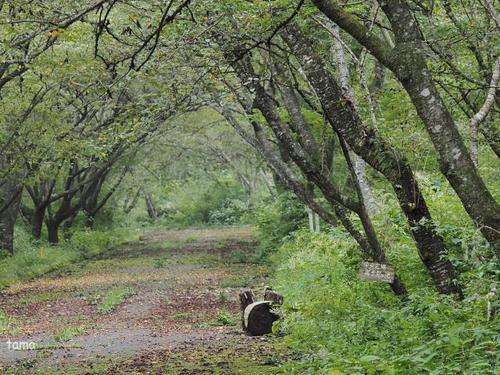 富士　丸火自然公園