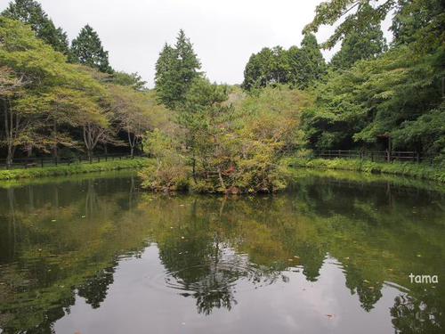 富士　丸火自然公園