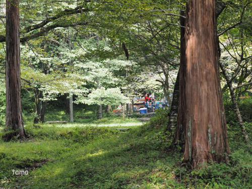 富士　丸火自然公園
