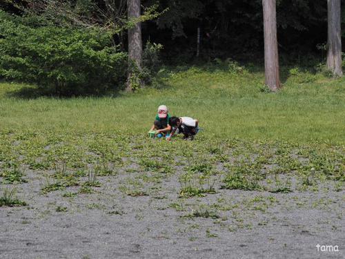 富士　丸火自然公園