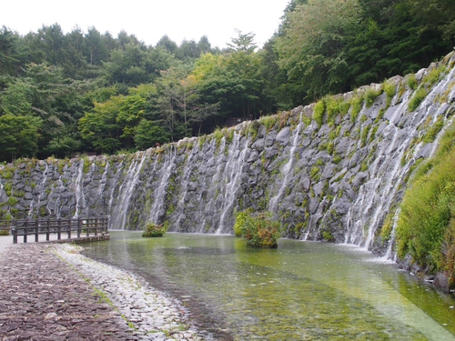 山中湖　花の都公園　有料エリアってどんなとこ？