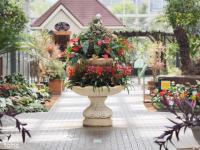 2014　9月18日　山中湖　花の都公園　まとめ！！！
