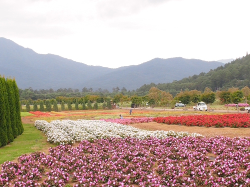 山中湖　花の都公園　有料エリアってどんなとこ？