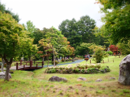 山中湖　花の都公園　有料エリアってどんなとこ？