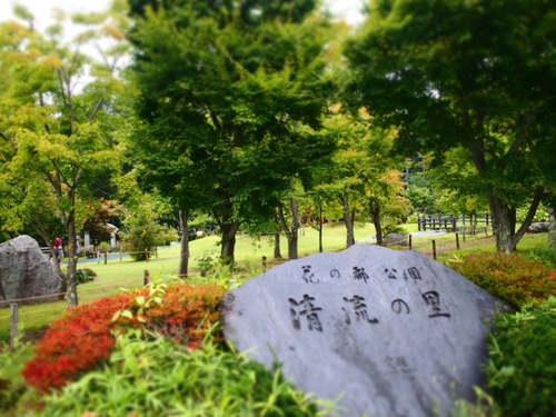 山中湖　花の都公園　有料エリアってどんなとこ？