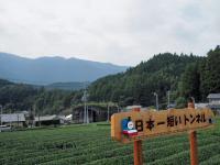 大井川鉄道　SLフェスタ　2014　10月11日、12日　まとめ