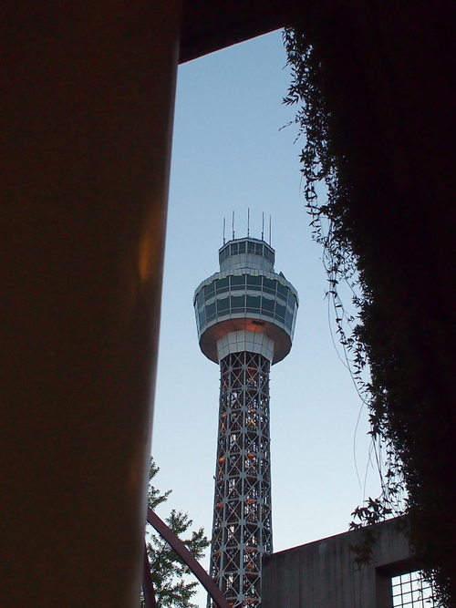 横浜マリンタワーの夜景♪　（foto　22枚）