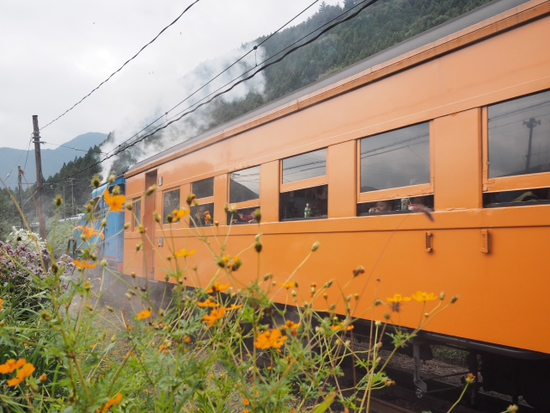 きかんしゃトーマスと追いかけっこ