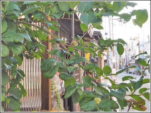 ノスタルジック～♪　カフェ　月光　（foto　19枚）