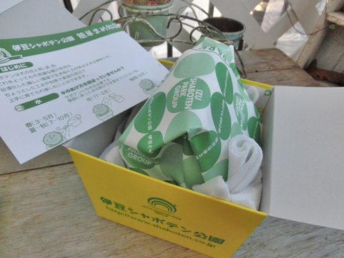 シャボテンのお土産♪　　伊豆シャボテン公園