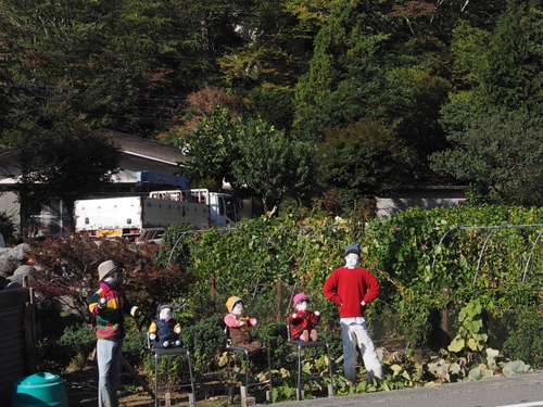 明るい農村　畑のファミリー