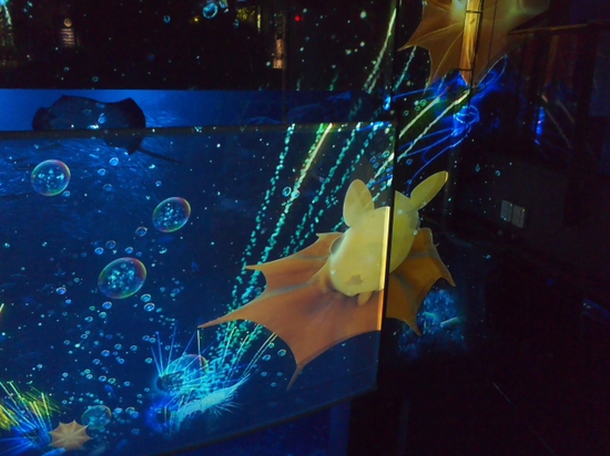 ナイトアクアリウム♪　新江ノ島水族館