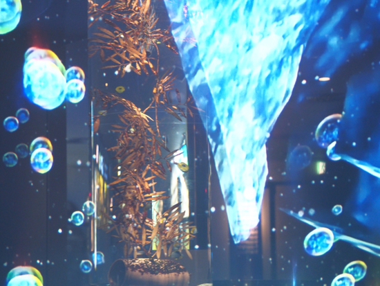 ナイトアクアリウム♪　新江ノ島水族館