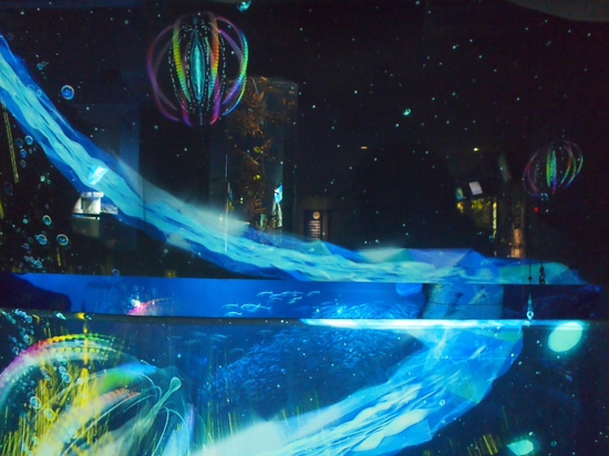 ナイトアクアリウム♪　新江ノ島水族館