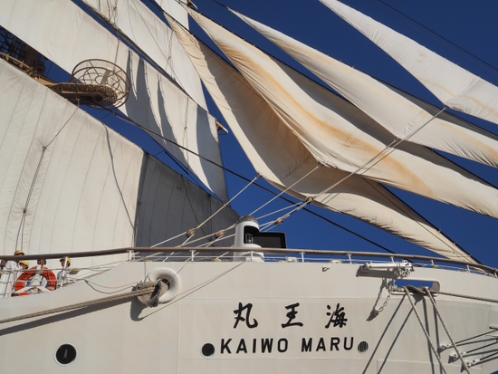 海の貴婦人　海王丸と富士山　セイルドリル（foto　19枚）　清水港