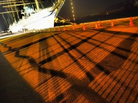 ライトアップの海王丸（foto　２２枚）　夜の清水港
