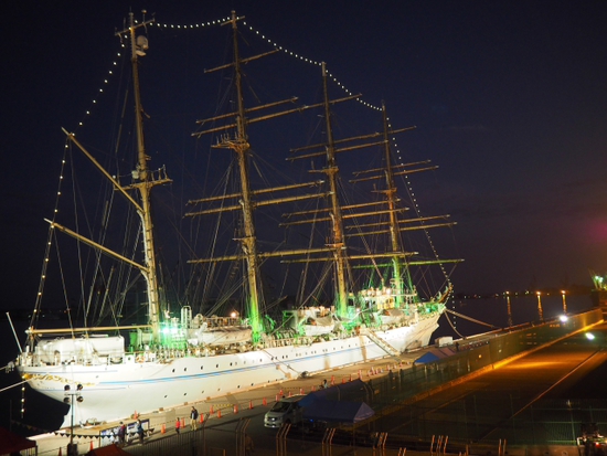 ライトアップの海王丸（foto　２２枚）　夜の清水港