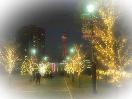 横浜アメリカ山公園　スイートメモリー　クリスマスイルミネーション