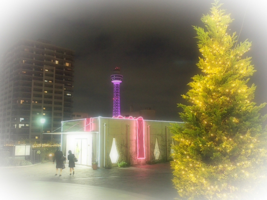 横浜アメリカ山公園　スイートメモリー　クリスマスイルミネーション