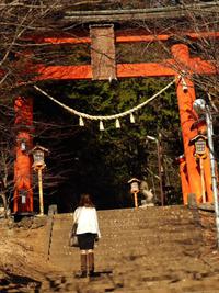 オススメ！！　新倉富士浅間神社＆富士山