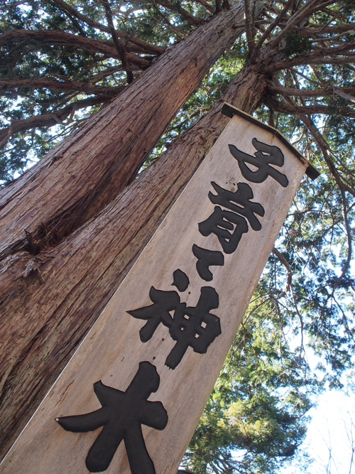 オススメ！！　新倉富士浅間神社＆富士山