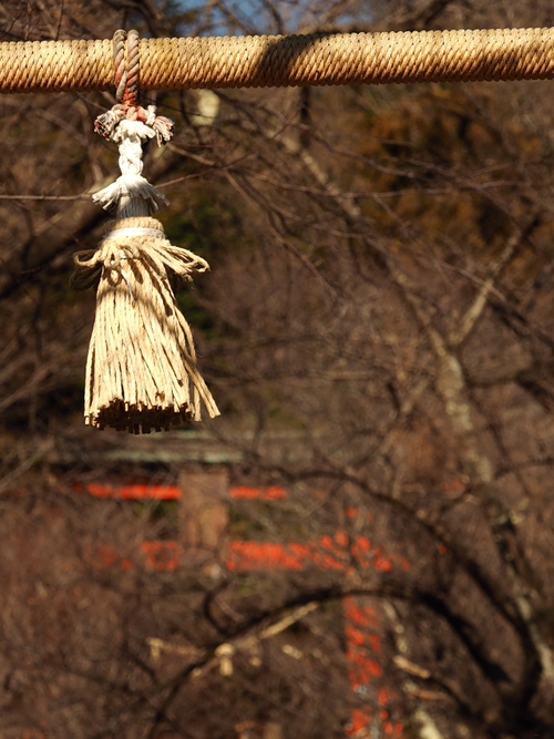 オススメ！！　新倉富士浅間神社＆富士山
