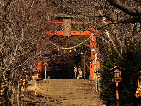 オススメ！！　新倉富士浅間神社＆富士山