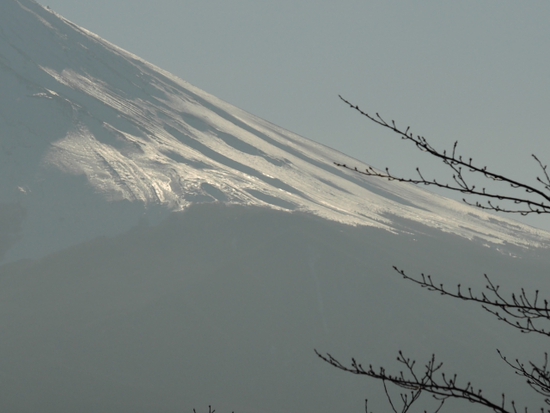 オススメ！！　新倉富士浅間神社＆富士山