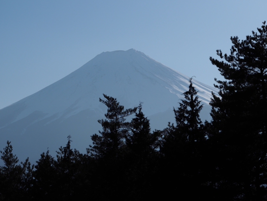 お勧め！！新倉浅間公園からの富士山