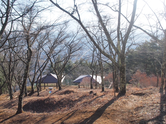 お勧め！！新倉浅間公園からの富士山