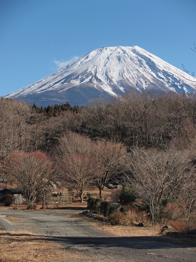 イーハトーブの森　　朝霧高原